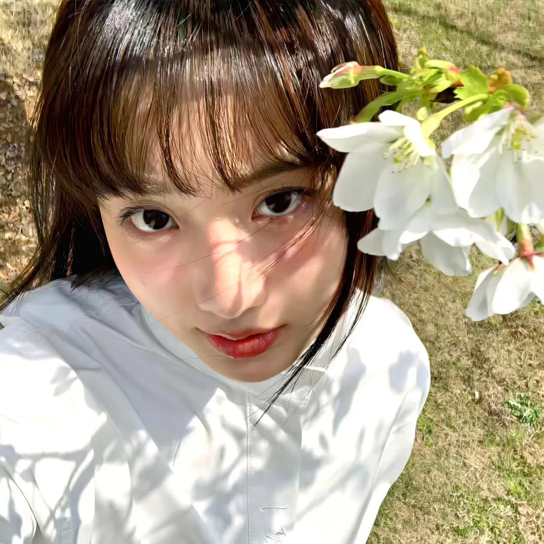 一支丁香花